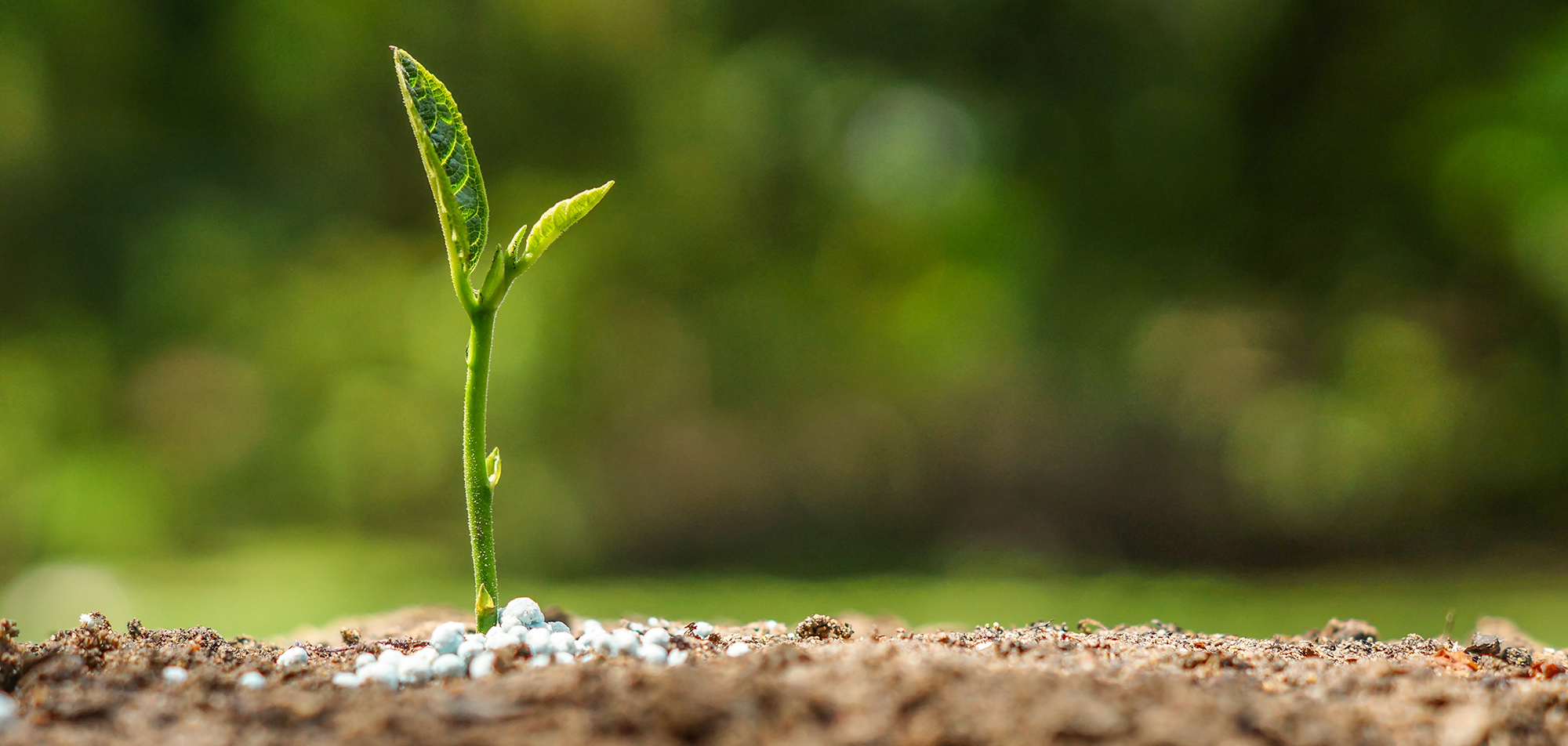 Crop Nutrition Unifert